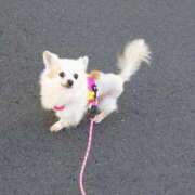 ヒメ日記 2026/03/16 22:51 投稿 奈月（なつき） 松戸デリヘル　熟女ヘブン