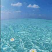 ヒメ日記 2026/08/19 18:41 投稿 奈月（なつき） 松戸デリヘル　熟女ヘブン