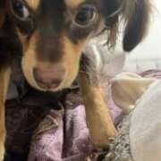 ヒメ日記 2026/03/06 17:36 投稿 せな☆本日体験 JKサークル