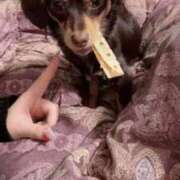 ヒメ日記 2026/03/07 14:13 投稿 せな☆本日体験 JKサークル