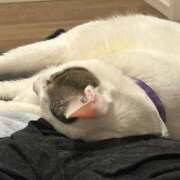 ヒメ日記 2026/02/24 21:14 投稿 るな☆超カワイイー！ JKサークル