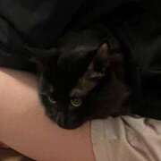 ヒメ日記 2026/02/25 22:30 投稿 るな☆超カワイイー！ JKサークル