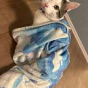 ヒメ日記 2026/02/27 08:14 投稿 るな☆超カワイイー！ JKサークル