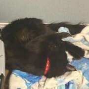 ヒメ日記 2026/02/28 11:02 投稿 るな☆超カワイイー！ JKサークル