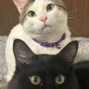 ヒメ日記 2026/02/28 23:15 投稿 るな☆超カワイイー！ JKサークル