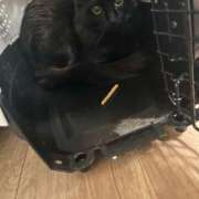 ヒメ日記 2026/02/28 23:45 投稿 るな☆超カワイイー！ JKサークル