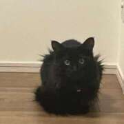 ヒメ日記 2026/02/28 23:52 投稿 るな☆超カワイイー！ JKサークル