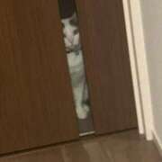 ヒメ日記 2026/03/01 19:13 投稿 るな☆超カワイイー！ JKサークル