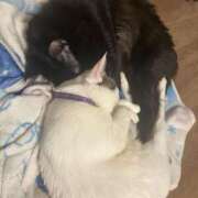 ヒメ日記 2026/03/01 23:45 投稿 るな☆超カワイイー！ JKサークル