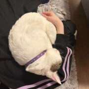 ヒメ日記 2026/03/02 00:45 投稿 るな☆超カワイイー！ JKサークル