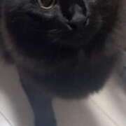 ヒメ日記 2026/03/03 08:00 投稿 るな☆超カワイイー！ JKサークル