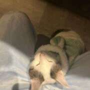 ヒメ日記 2026/03/03 23:15 投稿 るな☆超カワイイー！ JKサークル