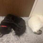 ヒメ日記 2026/03/04 07:01 投稿 るな☆超カワイイー！ JKサークル