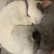 ヒメ日記 2026/03/05 21:32 投稿 るな☆超カワイイー！ JKサークル