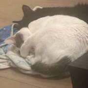 ヒメ日記 2026/03/06 16:13 投稿 るな☆超カワイイー！ JKサークル