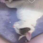 ヒメ日記 2026/03/07 08:01 投稿 るな☆超カワイイー！ JKサークル