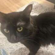 ヒメ日記 2026/03/08 08:00 投稿 るな☆超カワイイー！ JKサークル