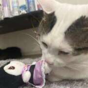 ヒメ日記 2026/03/09 00:00 投稿 るな☆超カワイイー！ JKサークル