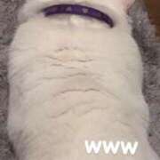 ヒメ日記 2026/03/10 15:35 投稿 るな☆超カワイイー！ JKサークル