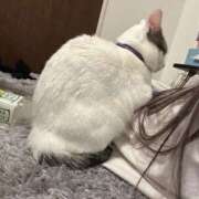 ヒメ日記 2026/03/11 17:21 投稿 るな☆超カワイイー！ JKサークル