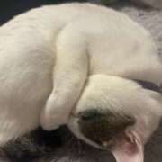 ヒメ日記 2026/03/12 07:37 投稿 るな☆超カワイイー！ JKサークル