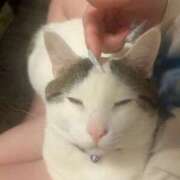 ヒメ日記 2026/03/12 21:31 投稿 るな☆超カワイイー！ JKサークル