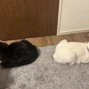 ヒメ日記 2026/03/13 00:02 投稿 るな☆超カワイイー！ JKサークル