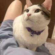 ヒメ日記 2026/03/13 20:03 投稿 るな☆超カワイイー！ JKサークル