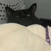 ヒメ日記 2026/03/14 21:30 投稿 るな☆超カワイイー！ JKサークル