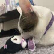 ヒメ日記 2026/03/16 22:47 投稿 るな☆超カワイイー！ JKサークル