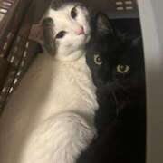 ヒメ日記 2026/03/17 11:33 投稿 るな☆超カワイイー！ JKサークル