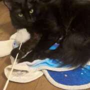 ヒメ日記 2026/03/18 20:50 投稿 るな☆超カワイイー！ JKサークル