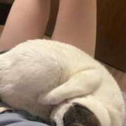 ヒメ日記 2026/03/19 02:30 投稿 るな☆超カワイイー！ JKサークル