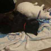 ヒメ日記 2026/03/20 18:00 投稿 るな☆超カワイイー！ JKサークル