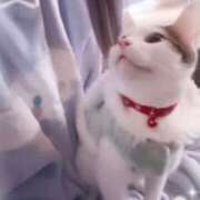 ヒメ日記 2026/03/22 23:57 投稿 るな☆超カワイイー！ JKサークル