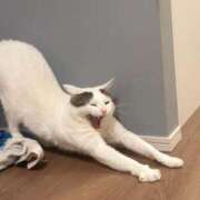 ヒメ日記 2026/03/23 08:01 投稿 るな☆超カワイイー！ JKサークル