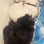 ヒメ日記 2026/03/25 19:50 投稿 るな☆超カワイイー！ JKサークル