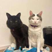 ヒメ日記 2026/03/28 23:31 投稿 るな☆超カワイイー！ JKサークル