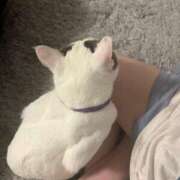 ヒメ日記 2026/04/02 08:49 投稿 るな☆超カワイイー！ JKサークル