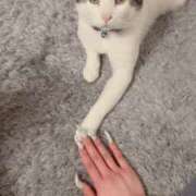 ヒメ日記 2026/04/02 22:34 投稿 るな☆超カワイイー！ JKサークル