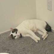 ヒメ日記 2026/04/04 16:45 投稿 るな☆超カワイイー！ JKサークル