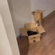 ヒメ日記 2026/04/30 03:14 投稿 るな☆超カワイイー！ JKサークル