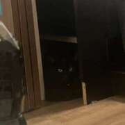 ヒメ日記 2026/06/22 00:00 投稿 るな☆超カワイイー！ JKサークル