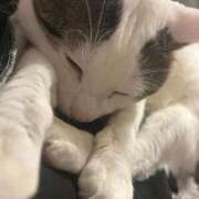 ヒメ日記 2026/07/14 10:15 投稿 るな☆超カワイイー！ JKサークル