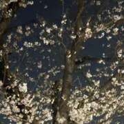 ヒメ日記 2026/03/28 23:02 投稿 朝倉りん 洗体アカスリとHなスパのお店（埼玉ハレ系）