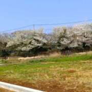 尾崎 由奈 ありがとう♪ こあくまな熟女たち 静岡店（KOAKUMAグループ）