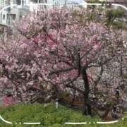 ヒメ日記 2026/02/28 07:30 投稿 みちる 性腺熟女100％鶯谷（デリヘル市場）