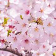 みちる ありがとうございました 性腺熟女100％鶯谷（デリヘル市場）