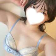 ヒメ日記 2026/02/23 17:05 投稿 うた しゃんぜりぜ