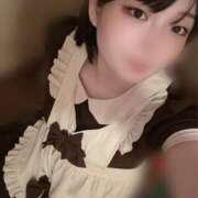 ヒメ日記 2026/03/20 10:27 投稿 うた しゃんぜりぜ